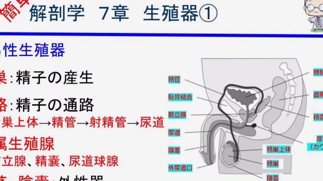 董路爆料：小汪亚洲杯遭“扫地”，粉丝无处发泄
