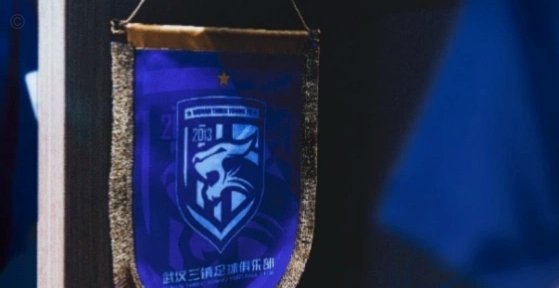 阿德里亚诺、奥斯卡领衔出战