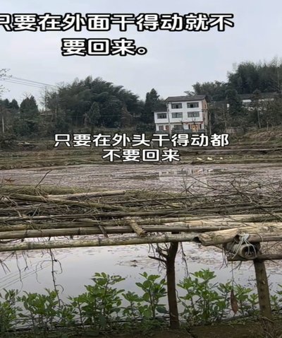 小两岁团队，逆袭之路