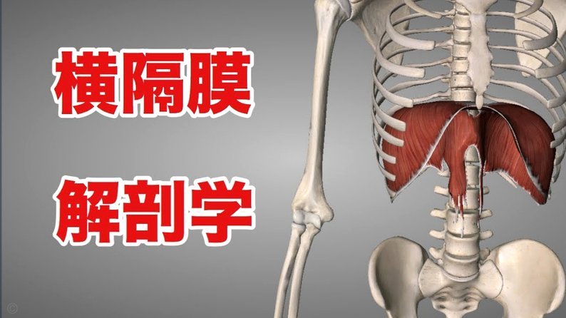 申花后卫金顺凯伤情严重已完成手术