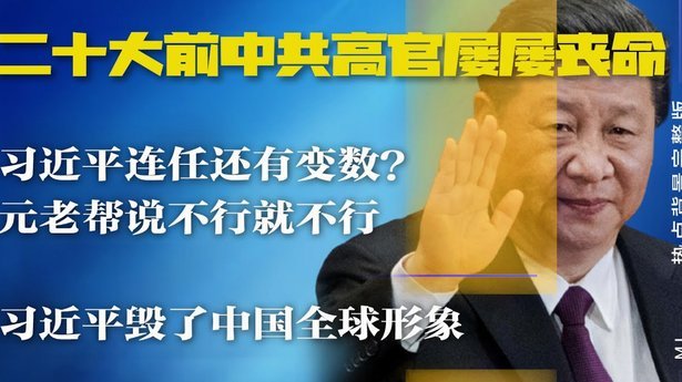 大鼻子困局：头牌失势后又遇乱云