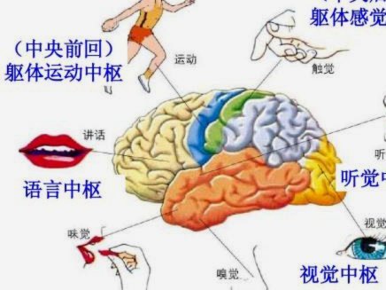 王钰栋休赛期蜕变：中超“强”的背后